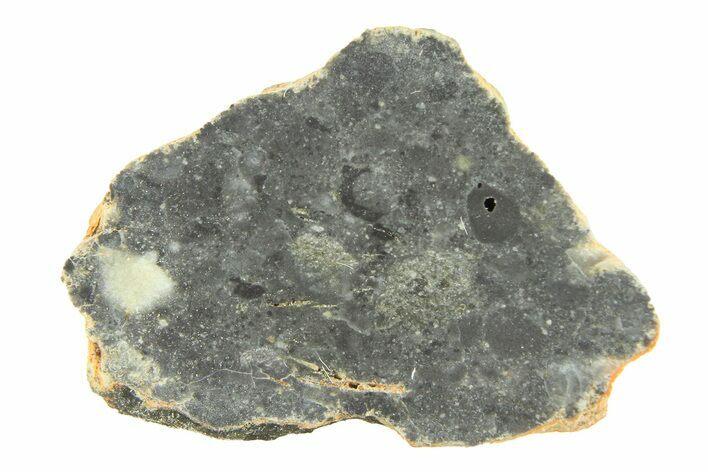 Lunar Meteorite ( g) Slice - Bechar #291700